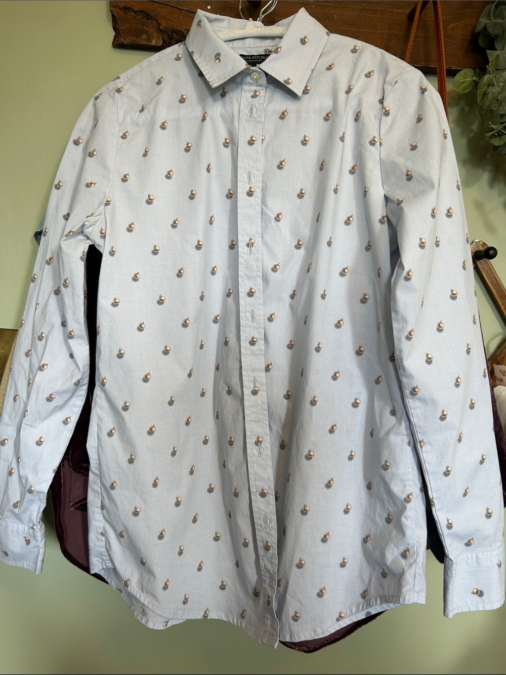 Banana Republic Light Blue Button-Down Shirt with Small Brown Motif